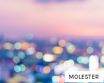 MOLESTER anagram