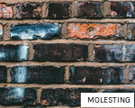 MOLESTING anagram