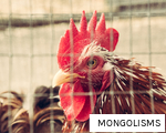 MONGOLISMS anagram