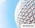 MONGOOSE anagram