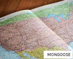 MONGOOSE anagram