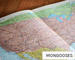 MONGOOSES anagram