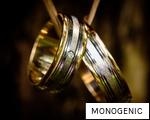 MONOGENIC anagram