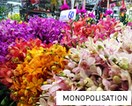 MONOPOLISATION anagram
