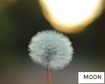 MOON anagram
