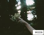 MOON anagram