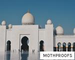 MOTHPROOFS anagram