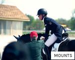MOUNTS anagram