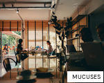 MUCUSES anagram