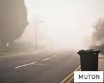 MUTON anagram