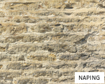 NAPING anagram