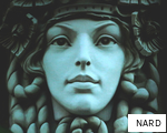 NARD anagram