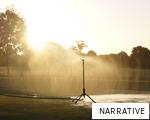 NARRATIVE anagram
