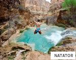NATATOR anagram