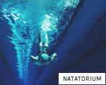 NATATORIUM anagram