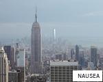 NAUSEA anagram