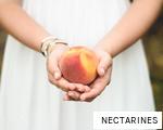 NECTARINES anagram