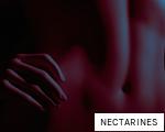 NECTARINES anagram
