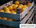 NEGOTIATION anagram