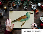 NEPHRECTOMY anagram