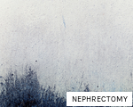 NEPHRECTOMY anagram