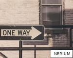 NERIUM anagram
