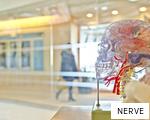 NERVE anagram
