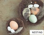 NESTING anagram