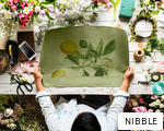 NIBBLE anagram