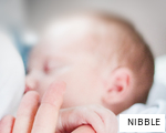 NIBBLE anagram