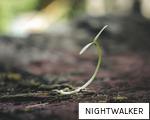NIGHTWALKER anagram