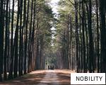 NOBILITY anagram