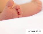 NOBLESSES anagram