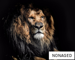 NONAGED anagram