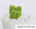 OBJECTIFICATION anagram