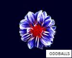 ODDBALLS anagram