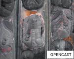 OPENCAST anagram