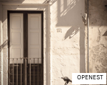 OPENEST anagram