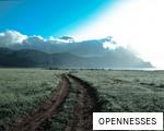 OPENNESSES anagram