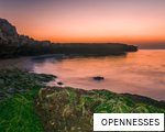 OPENNESSES anagram