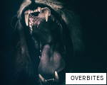 OVERBITES anagram
