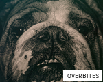 OVERBITES anagram