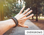 OVERGROWS anagram