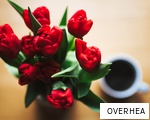 OVERHEA anagram