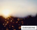 OVERSEEING anagram