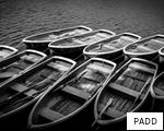 PADD anagram