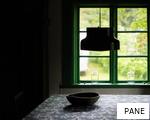 PANE anagram
