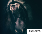 PANICKED anagram
