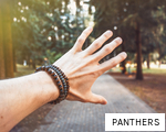 PANTHERS anagram