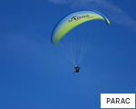 PARAC anagram